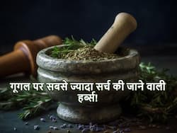 Year Ender 2023: इस साल लोगों ने गूगल पर सबसे ज्यादा सर्च की आयुर्वेदिक जड़ी-बूटियां, जानें क्या है इनमें खास