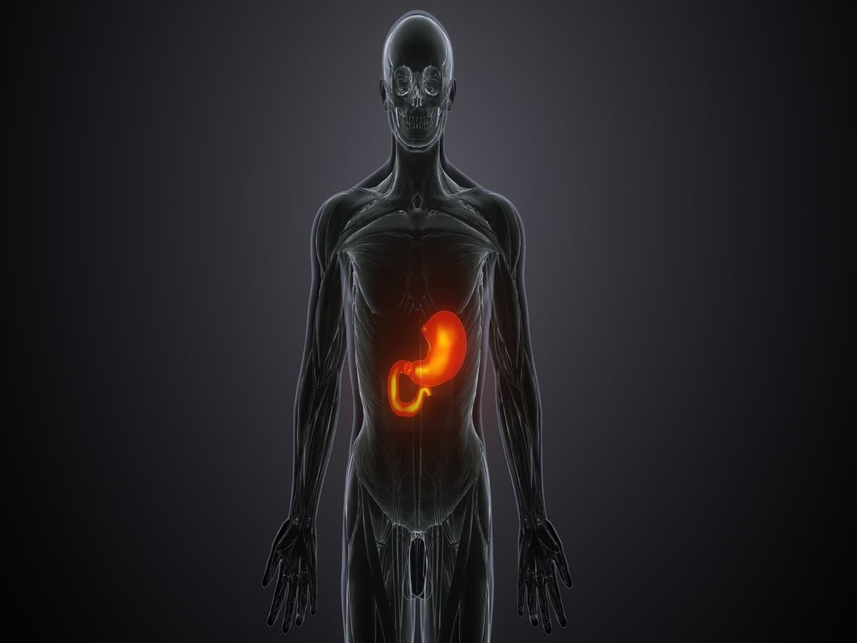 Unlocking The Secrets Of Inflammaging: New Study Offers Insights - Vimarsana News