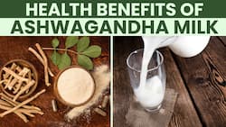 Ashwagandha: Reducing Stress to Improving Cognitive Function, this is why Ashwagandha Milk is a must