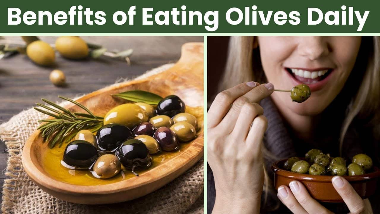 Olive Benefits Why Olives Are A Must in Your Daily Diet