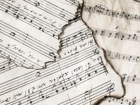 How Your Music Choices Reflect Your Values? How Your Music Choices Reflect Your Values?
