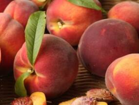 गुलाबी सर्दियों में मिलने वाला यह फल करता है कमाल, peach खाने के 5 लाभ