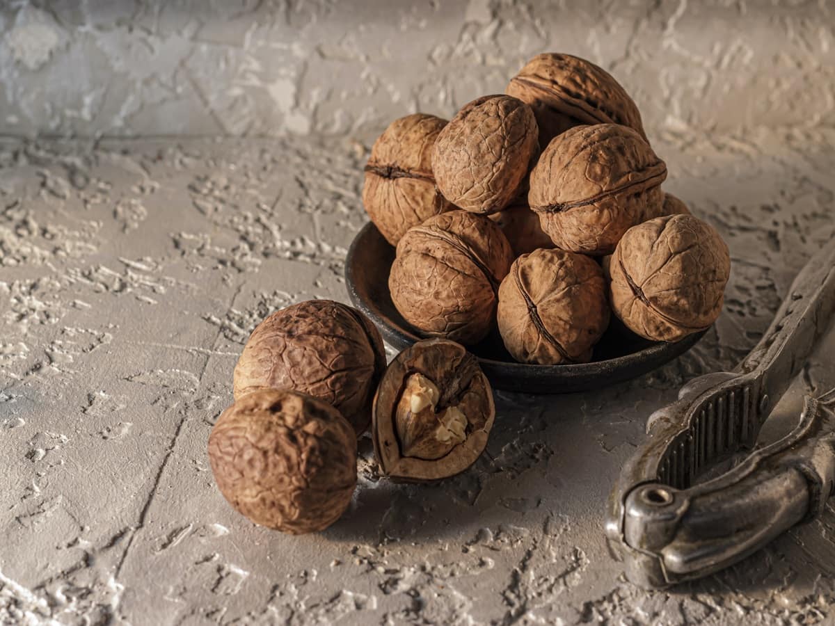 9 Affordable Alternatives To Walnuts For A BudgetFriendly Diet