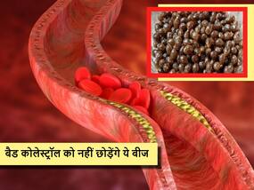 शरीर की किसी नस में छिपे बैड कोलेस्ट्रॉल को नहीं छोड़ेंगे इस टेस्टी फल के बीज, फल के साथ बीज जरूर खाएं