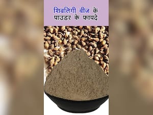 शिवलिंगी बीजों का पाउडर इन 7 रोगों का करता है नाश!