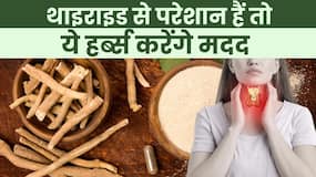 Thyroid Control Herbs: थाइराइड से परेशान हैं तो ये हर्ब्स करेंगे मदद, Watch Video Thyroid Control Herbs: थाइराइड से परेशान हैं तो ये हर्ब्स करेंगे मदद, Watch Video