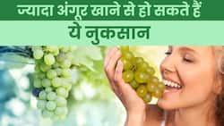 Grapes Side Effect: ज्यादा अंगूर खाने से बढ़ सकता है आपका वजन! Watch Video