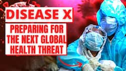 Disease X Virus: WHO Chief Warns For Disease X