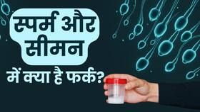 Sperm और Semen के बीच क्या है अंतर, देखें ये Video Sperm और Semen के बीच क्या है अंतर, देखें ये Video