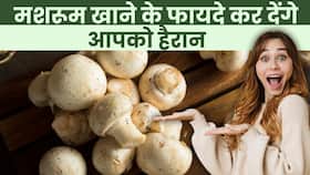 Mushroom Benefits: मशरूम खाने से न करें इंकार, ये फायदे कर देंगे आपको हैरान