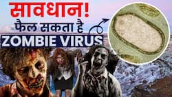 Zombie Virus: इस कारण बढ़ सकता है ज़ोंबी वायरस का ख़तरा, Watch Video