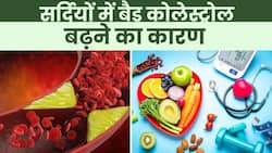 Winter Bad Cholesterol Reason: सर्दियों में बैड कोलेस्ट्रॉल बढ़ने का ये है बड़ा कारण