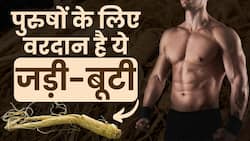 Men's Health: पुरुषों के लिए किस तरह काम करती है ये जड़ी-बूटी? देखें ये वीडियों