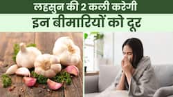 Garlic Benefits in Winter: लहसुन के सेवन से ये बीमारियों होंगी दूर, जानें कैसे?