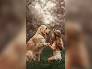 10 Science-Based Health Benefits of Owning a Dog