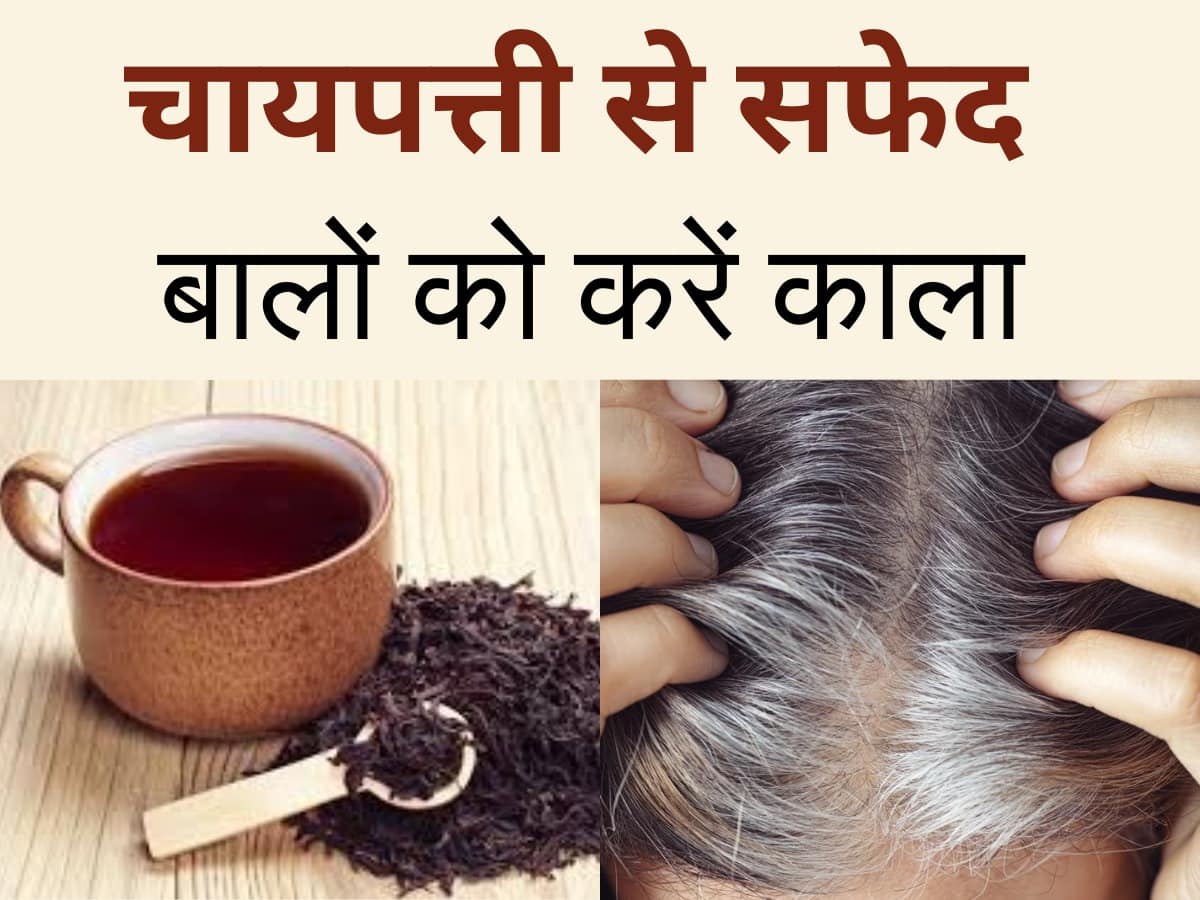 सफेद बालों को जड़ से काला कर सकती है चायपत्ती, इन 3 तरीकों से करें