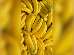 Is It Okay To Include Bananas In Your Winter Diet?
