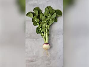 Benefits Of Including Shaljam In Your Diet