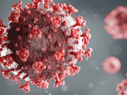 Covid cases in India Live Updates: Delhi reports 16 cases of COVID-19 sub-variant JN.1