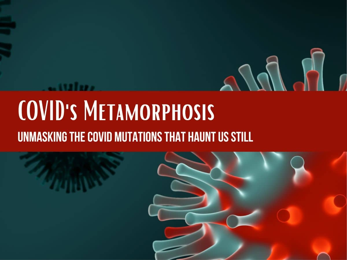 JN.1 Variant To Delta: How COVID-19 Virus Mutated Since Its First ...