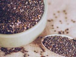 Chia Seeds Health Benefits: What Happens When You Start Your Day With Soaked Chia Water On Empty Stomach?