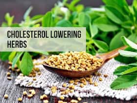 Cholesterol Lowering Herbs: Top 7 Ayurvedic Spices To Reduce LDL Cholesterol Levels