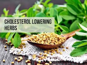 Cholesterol Lowering Herbs: Top 7 Ayurvedic Spices To Reduce LDL Cholesterol Levels