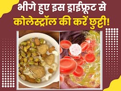 खाली पेट रोजाना भिगोकर खा लें ये ड्राईफ्रूटस, Bad Cholesterol की हमेशा के लिए हो जाएगी छुट्टी