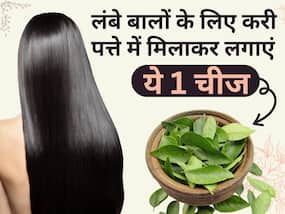 घुटने तक लंबे बाल चाहिए तो करी पत्ते में ये 1 चीज मिलाकर लगाएं, सफेद बालों से भी मिलेगा छुटकारा घुटने तक लंबे बाल चाहिए तो करी पत्ते में ये 1 चीज मिलाकर लगाएं, सफेद बालों से भी मिलेगा छुटकारा