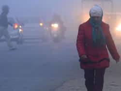 Delhi Weather Updates: 5 Winter Safety Tips for Daily Commuters Amid Dense Fog