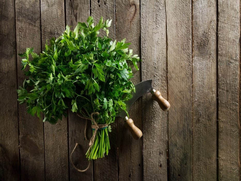 Top 5 Vitamin K-Rich Foods for Optimal Health