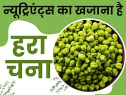 सर्दियों में डाइट में जरूर शामिल करें हरा चना, सेहत को मिलेंगे ये 5 फायदे
