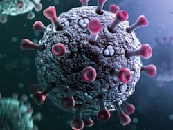 JN.1 COVID-19 Variant Symptoms: 5 Signs of Infection and Control Measures To Stay Safe From This New COVID Variant