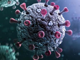 JN.1 COVID-19 Variant Symptoms: 5 Signs of Infection and Control Measures To Stay Safe From This New COVID Variant