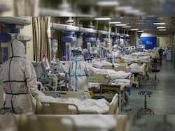 JN.1 Variant May Trigger Another Devastating COVID-19 Wave: Experts Warn of Increased Hospitalizations, Deaths