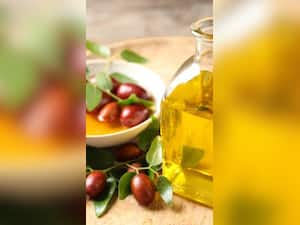 Jojoba Oil For Hair: बालों में लगाएं जोजोबा ऑयल, दूर होंगी ये 6 प्रॉब्लम्स