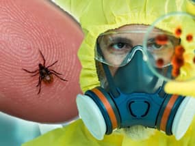 19-Year-Old Girl Dies of Kyasanur Forest Disease In Karnataka: Brain Fever And Other Unusual Symptoms To Know