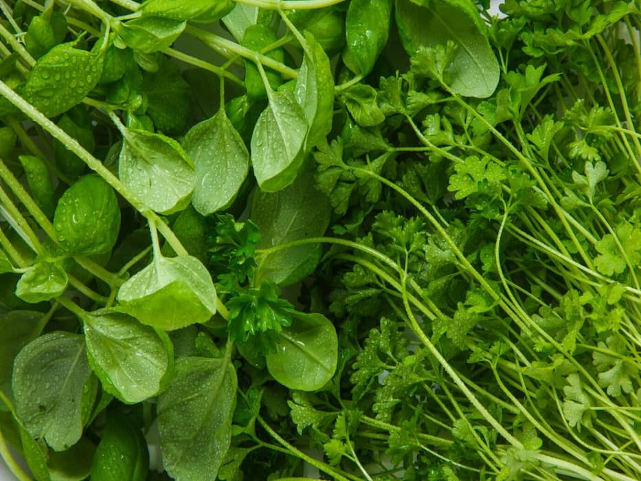 Top 5 Vitamin K-Rich Foods for Optimal Health