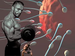 Gym Workouts and Male Fertility: 5 Dangerous Side Effects of Extreme Fitness Routines on Sperm Health