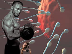 Gym Workouts and Male Fertility: 5 Dangerous Side Effects of Extreme Fitness  Routines on Sperm Health
