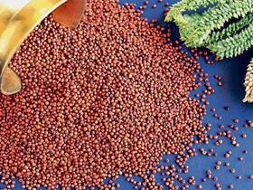 10 Amazing Health Benefits of Eating Different Types of Millets Daily