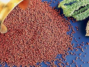 10 Amazing Health Benefits of Eating Different Types of Millets Daily