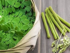 Moringa Leaves Water On Empty Stomach: 7 Health Benefits of Drinking Drumstick Leaves Detox Drink