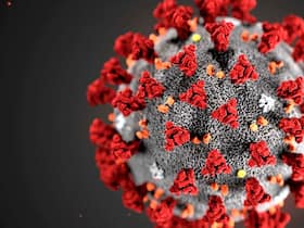 6 New COVID-19 Variant JN.1 Symptoms: What to Expect After Getting Infected with New COVID-19 Variant