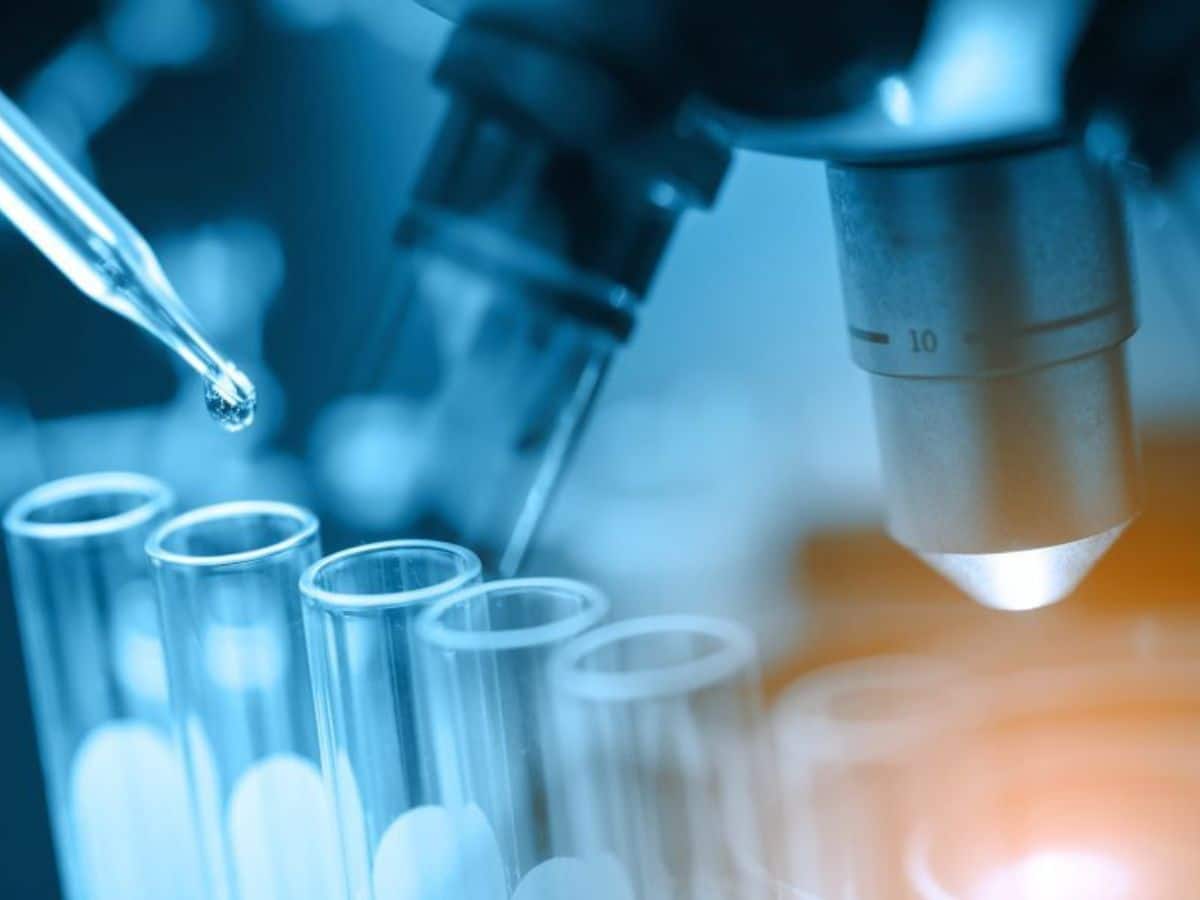 Sigma Metrics as Quality Indicators in Guiding and Tracking Laboratory Process Improvement: Redcliffe Lab's Research - Vimarsana News