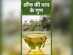 Fennel Seeds Benefits: सुबह सौंफ की चाय पीने के फायदे