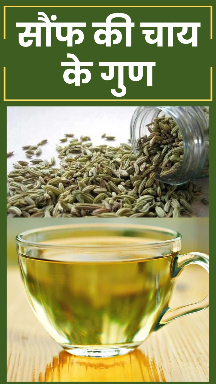 Fennel Seeds Benefits: सुबह सौंफ की चाय पीने के फायदे