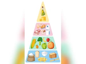 Tips to Reduce Processed Foods In Your Diet