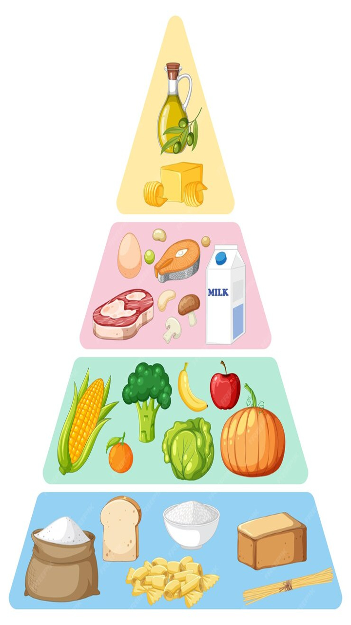 Tips to Reduce Processed Foods In Your Diet