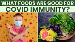JN.1 variant in India: How to boost your immunity against COVID-19? Try these superfoods!
